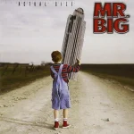 Mr.Big - Actual Size