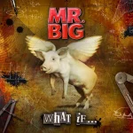 Mr.Big - What If…